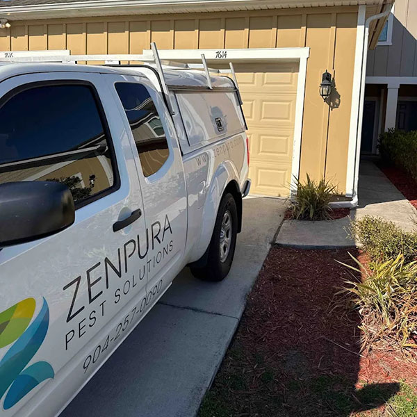 White pestcontrol van with Zenpura Pest Solutions branding parked in a residential driveway in front of a beige garage ladder rack attached to the top and a few shrubs along the path White pest-control van with Zenpura Pest Solutions branding parked in a residential driveway in front of a beige garage, ladder rack attached to the top, and a few shrubs along the path.