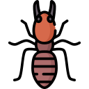 soldier-termite