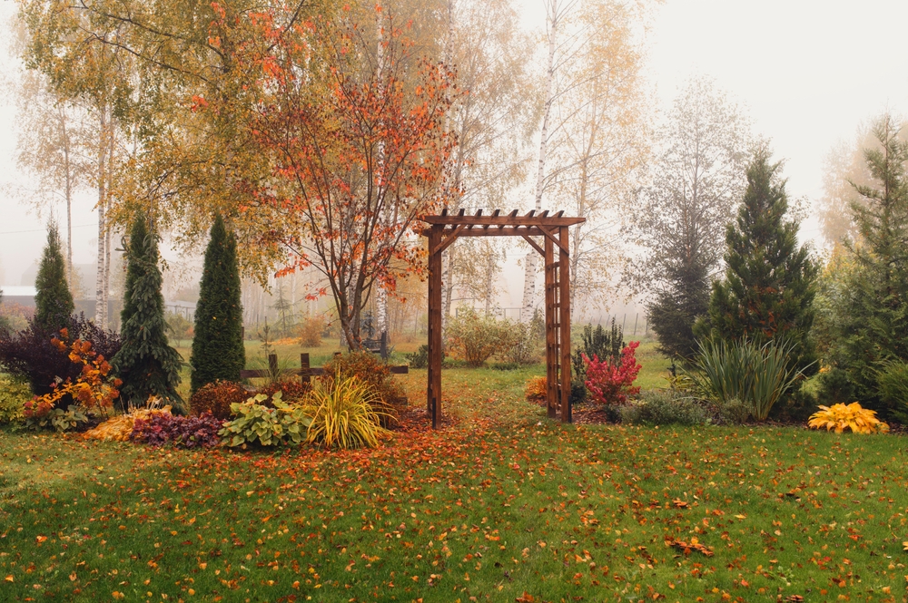 Autumn garden with a wooden archway surrounded by colorful fall foliage and fallen leaves on the grass.